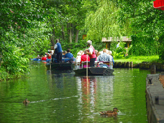 Jahresausflug Cottbus/Spreewald/Berlin 2015